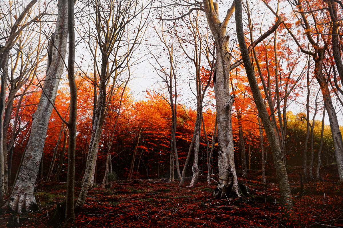 Autumn woods, 180 x 120 cm, 2017, oil on canvas